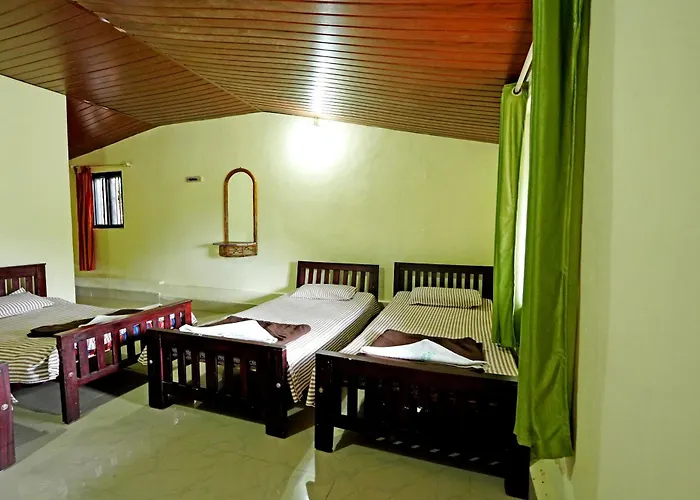 Leisure Homestay - Pool, Boating, Zipline, Home Food, Estate