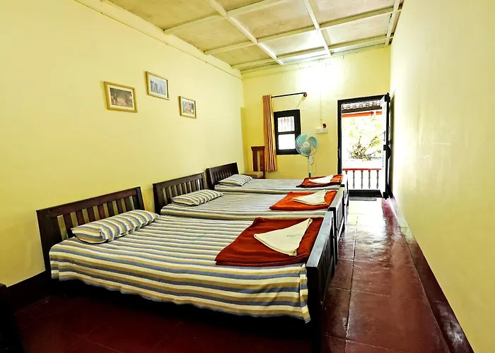 Leisure Homestay - Pool, Boating, Zipline, Home Food, Estate