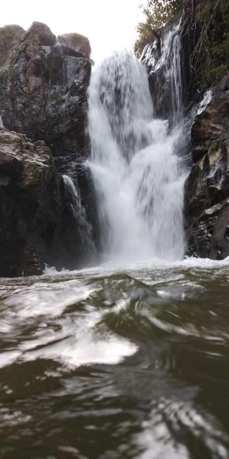 Homestay Leisure - Pool, Boating, Zipline, Food, Estate Chikmagalur