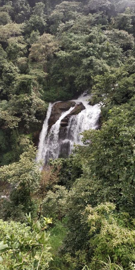 Leisure - Pool, Boating, Zipline, Food, Estate Chikmagalur