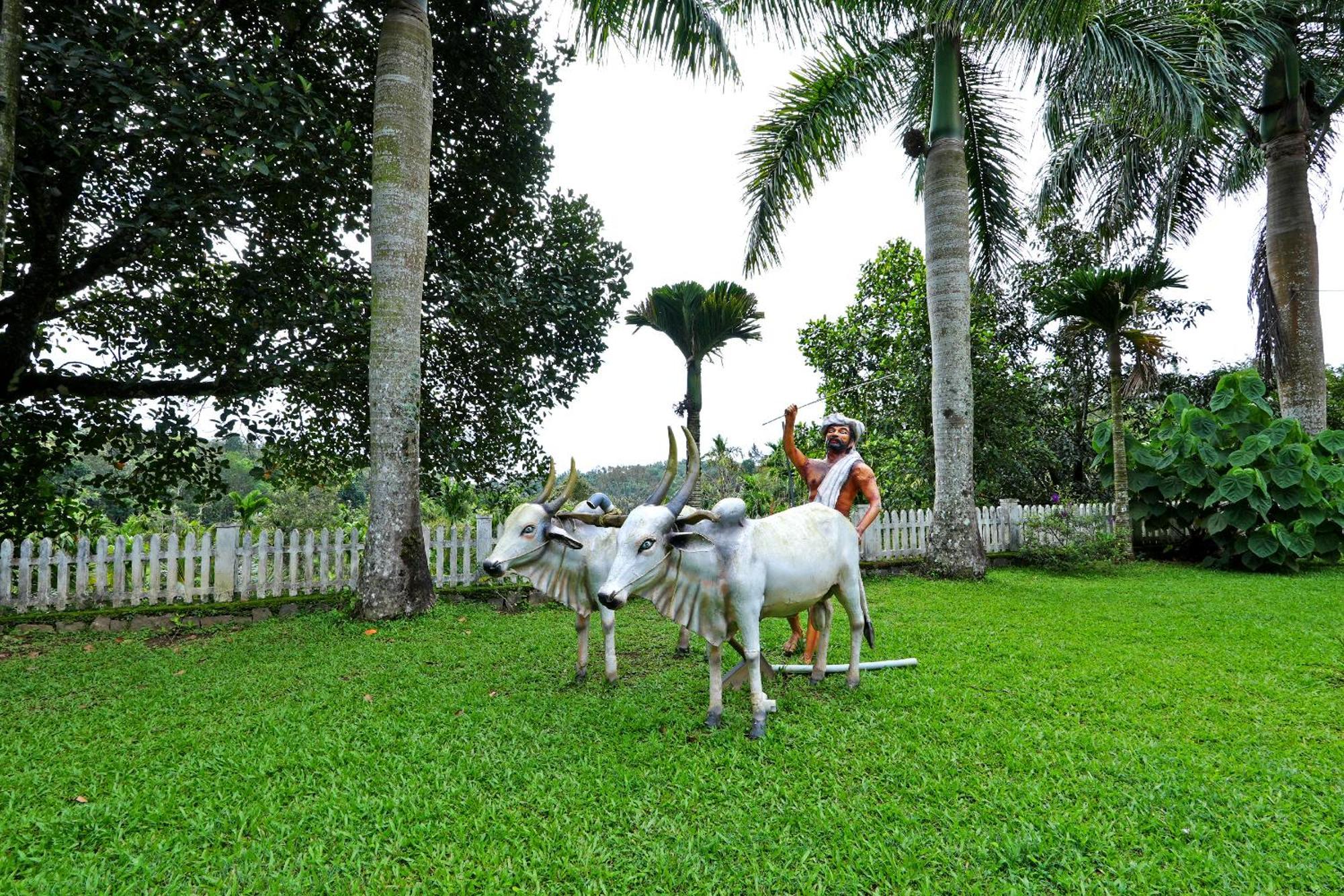 Leisure - Pool, Boating, Zipline, Food, Estate Homestay *