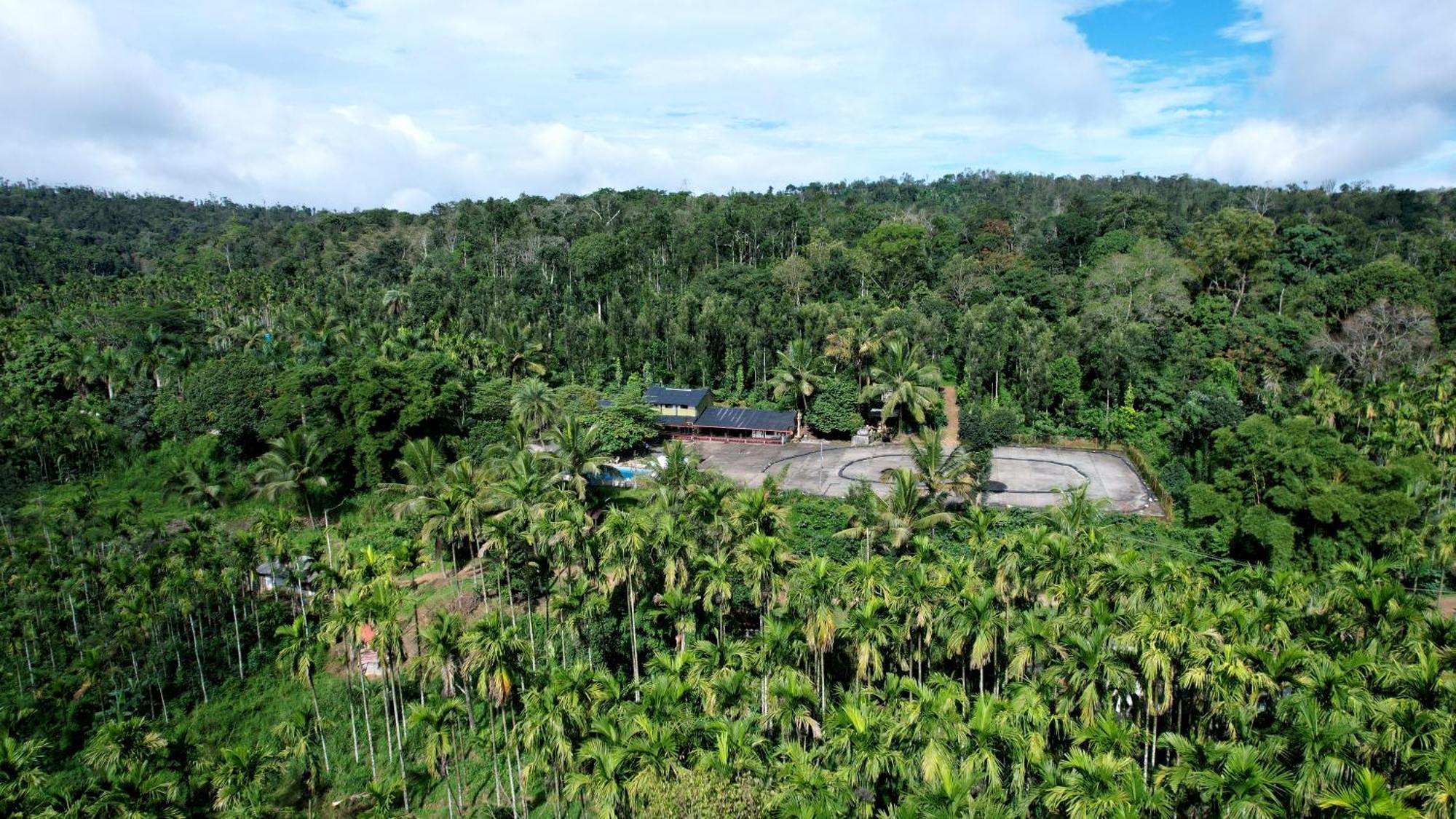 Leisure - Pool, Boating, Zipline, Food, Estate Homestay
