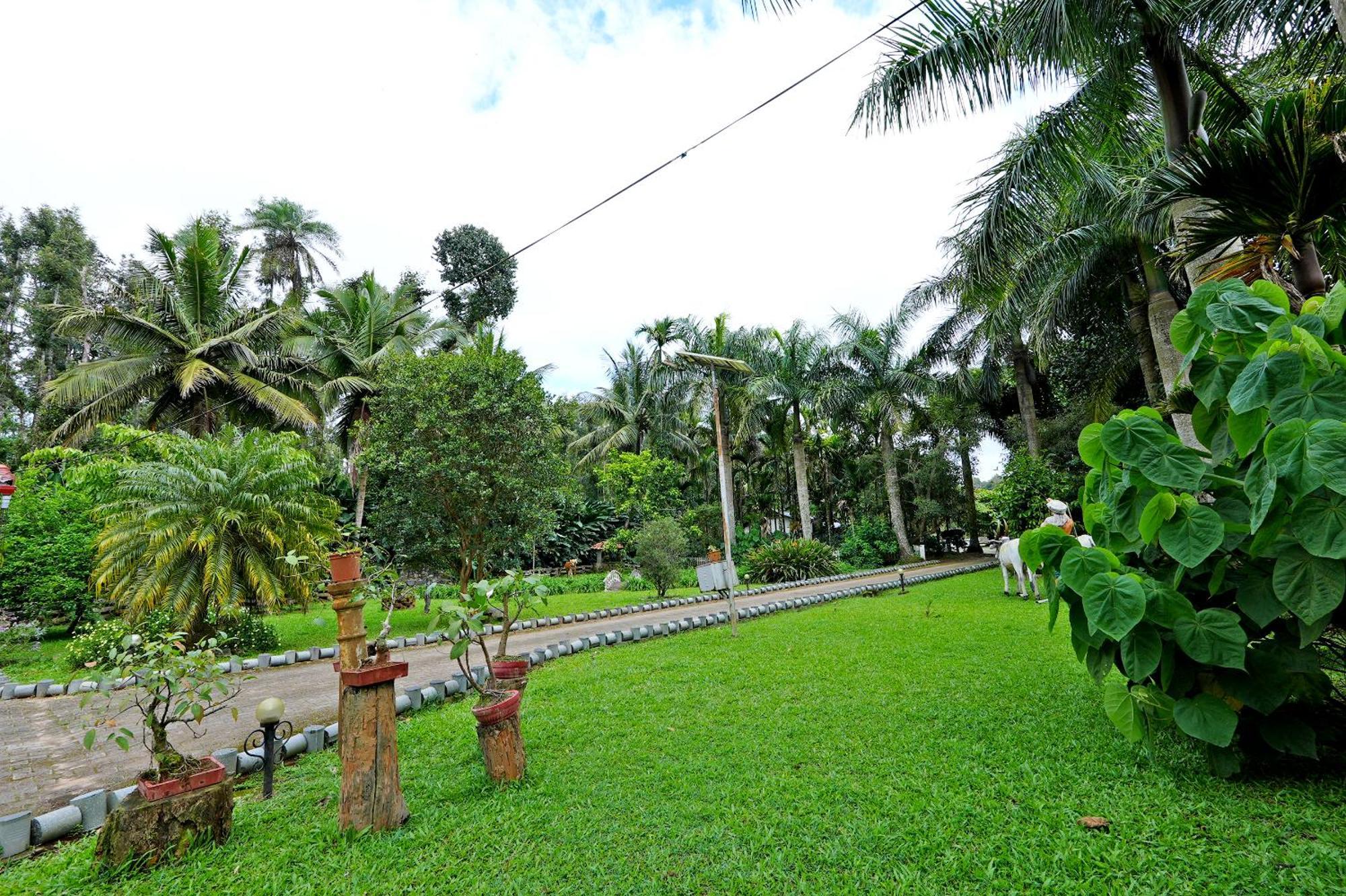 Leisure - Pool, Boating, Zipline, Food, Estate Homestay Chikmagalur