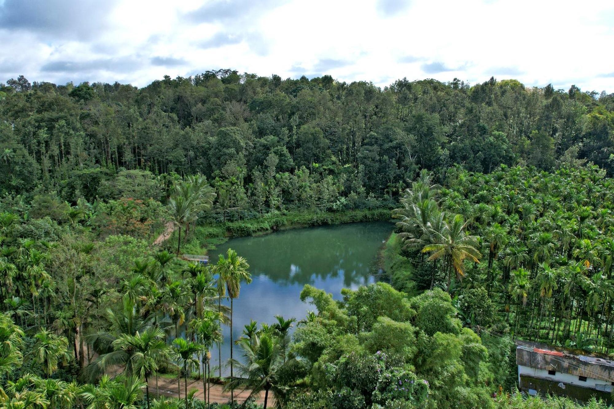Leisure - Pool, Boating, Zipline, Food, Estate