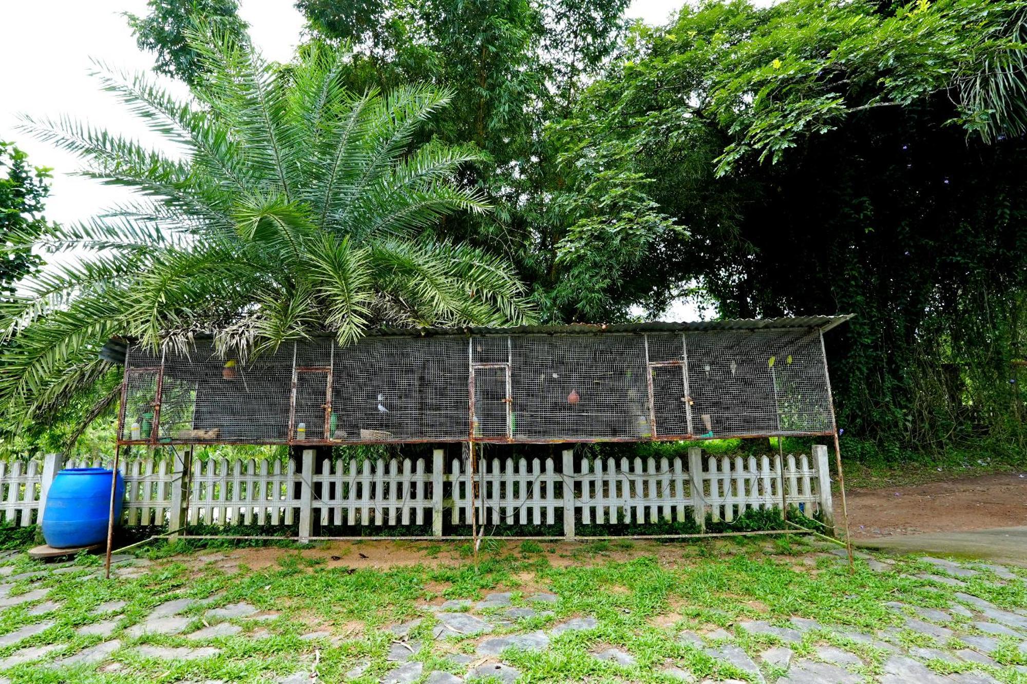 Leisure - Pool, Boating, Zipline, Food, Estate * Chikmagalur