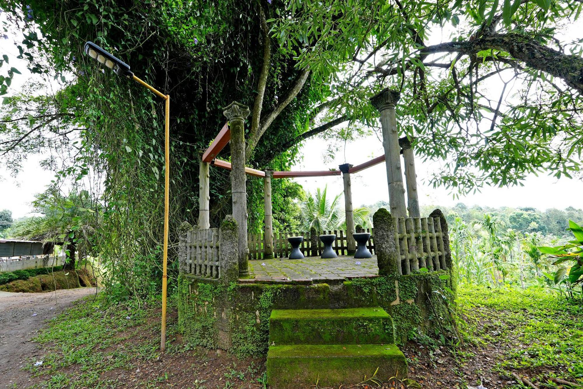 Homestay Leisure - Pool, Boating, Zipline, Food, Estate *
