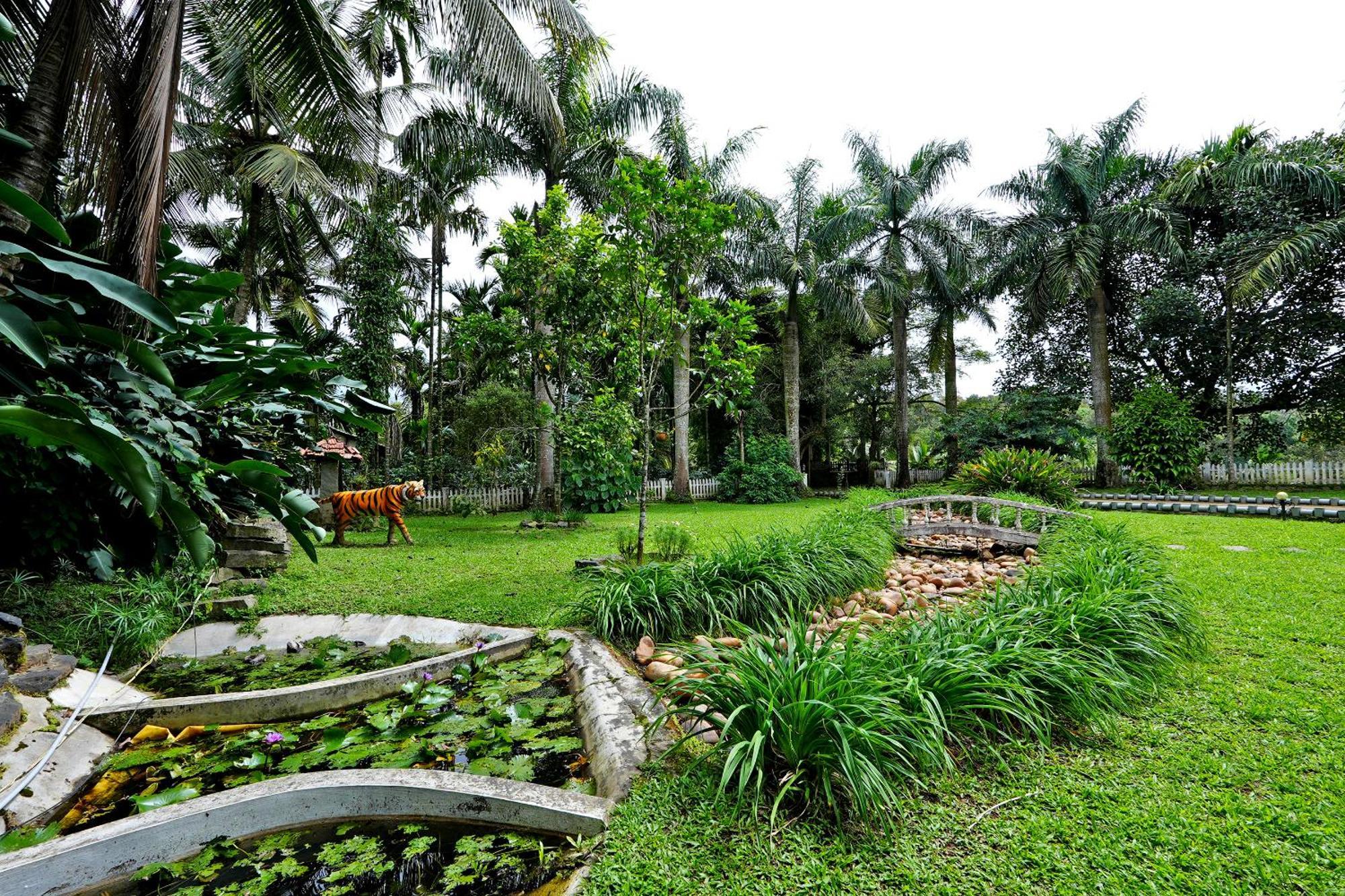 Leisure - Pool, Boating, Zipline, Food, Estate Homestay *