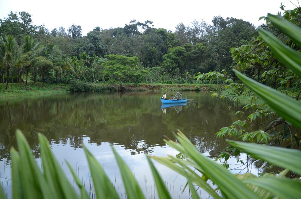 Homestay Leisure - Pool, Boating, Zipline, Food, Estate